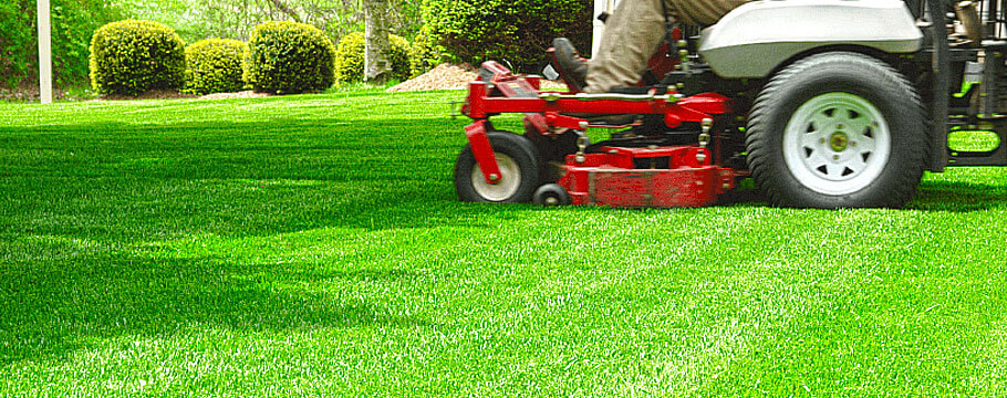 Gardening & Landscaping